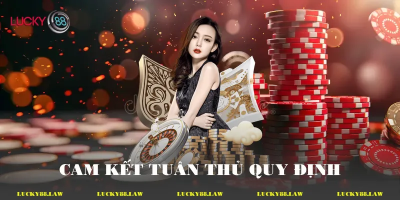 Cam kết tuân thủ quy định