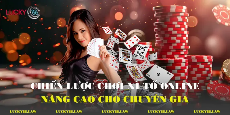 Chiến lược chơi xì tố online nâng cao cho chuyên gia