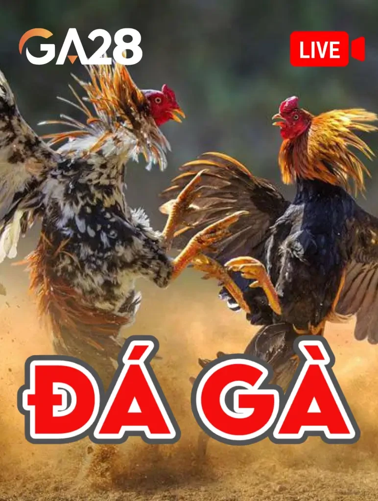 ĐÁ GÀ