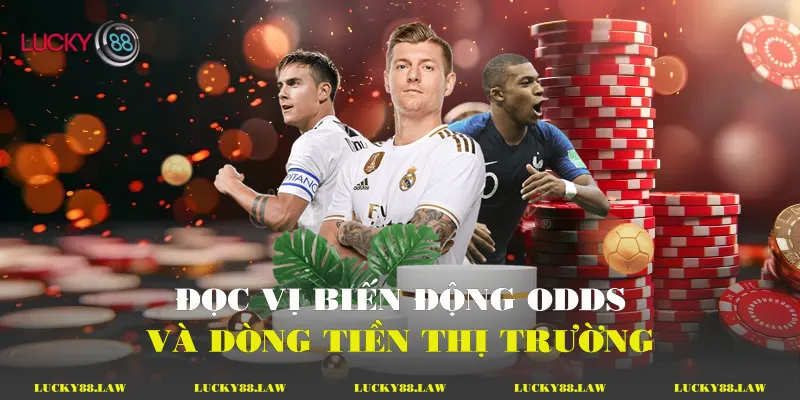 Đọc vị biến động Odds Và dòng tiền thị trường