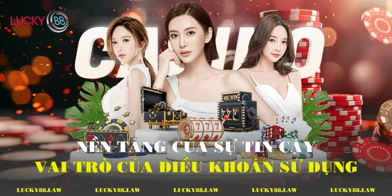 Nền tảng của sự tin cậy: Vai trò của điều khoản sử dụng