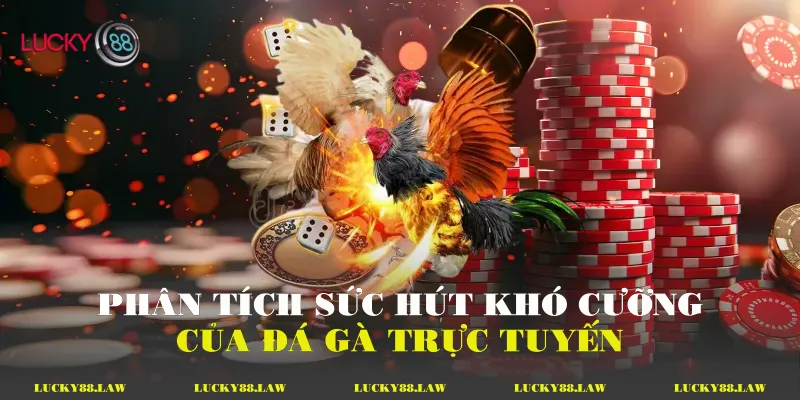 Phân tích sức hút khó cưỡng của đá gà trực tuyến